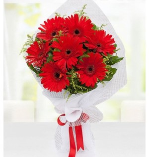 7’li Kırmızı Gerbera Buketi