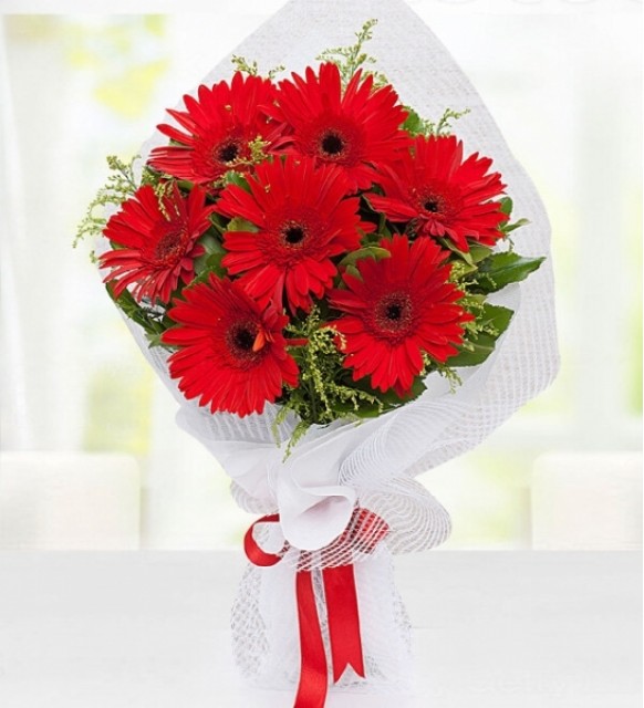 7’li Kırmızı Gerbera Buketi